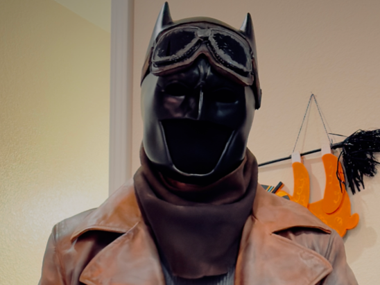 Past Halloween Costume Collection